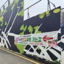 노원구 불암산 힐링타운 수국장미정원 : 카페포레스트