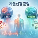 케이신경과의원 | 암 재발 전이가 걱정된다면 자율신경 균형부터 점검해야 합니다 LIGHT프로그램 70기 모집(4/29~6/8)
