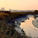 국토토지행정사사무소 이미지