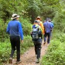 우면산3-21 이미지