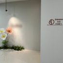 백옥 | 을지로입구역 피부과, 티타늄리프팅 50kj(5만줄) + 라라필 + 글루타치온 백옥주사 후기