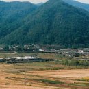 대림아파트 앞 삼거리 이미지