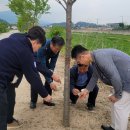 내면행정복지센터 이미지