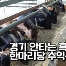 장안흑염소농장 이미지