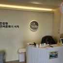 라이프독 강릉점 24시 강아지분양 고양이분양 이미지