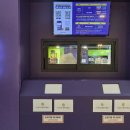 목마식품 | 아이 기운빼러 다녀온 몬스터파크 춘천점 내돈내산 후기