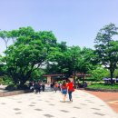 중화호반닭갈비 이미지