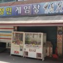 곰의전설 이미지
