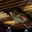 제2청우농장 | 신사역 맛집 청우참치｜고급 부위 무한리필로 즐기는 신사역 참치 맛집 내돈내산 후기