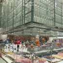 시저스 - 고양시 덕양구 | 라스베가스 바카날 뷔페 솔직후기, 시저스 팰리스 뷔페 가격·메뉴·예약 꿀팁 총정리