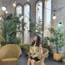 현대포토피아