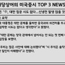 빅브레이너 네이버블로그
