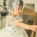 디자인바이치즈