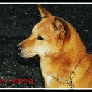 용포축산 이미지