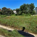 옥산리농로 이미지