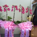 예천동부초등학교 이미지