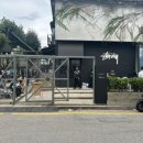 신사동-13 이미지