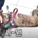 H-헤어쌀롱 네이버블로그
