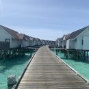 몰디브 여행기 (오젠 마두 라이프 리조트) - 1편