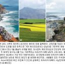 미스터로티 이미지