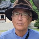 [이우림 시인] 석류나무를 바라보며