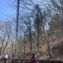 자하곡약수터 | [창녕] 화왕산 등산코스(자하곡 공영주차장 - 1등산로 - 정상 - 3등산로 - 원점회귀)