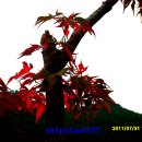 정다운일터 이미지