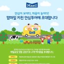매일유업(주)영동공장 이미지