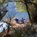 남이섬힐링캠핑장 이미지