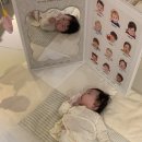 굿앤트루 | 아기병풍 추천 3개월 부터 5개월 시기 사용 후기, 마이앤트