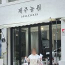 대구농원 - 예산군 신원길 216-9 | 대구동구꽃집 제주농원 어버이날 카네이션화분 후기