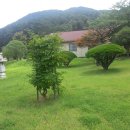 형주병원 Daum카페
