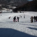 숲의요정펜션