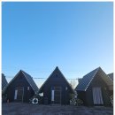 제주베이스캠프 | 서귀포현지인맛집 남원 흑돼지 제주 베이스캠프더블랙 후기