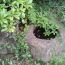 강골민박 이미지