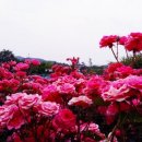 성포공원 화장실 이미지