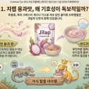 지랩 | 지랩 용과맛 파충류 슈퍼푸드, 까다로운 입맛의 집사들이 선택한 이유는?