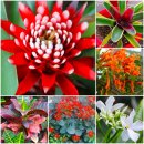 상동호수공원 이미지