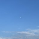 제제게스트하우스 이미지