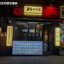25센치 대전중리점 이미지