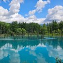 유황원스타 | 🇯🇵 24 삿포로 혼자여행 2일차 :: 환상적이었던 비에이 후라노 버스투어