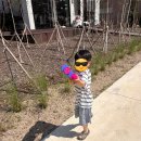 남산전기조명 - 구로구 구로중앙로 214 | 🌿 청도 글램핑 추천｜아이랑 여행 체험단｜바움글램핑 발트108호｜체험후기 🌿