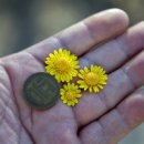 화당2리 이미지