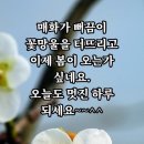 각 분야 전문의가 절대로 하지 않는 9가지 생활 습관 이미지