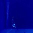 알프스비디오 | 대전 알프스다이빙풀에서 신나게 노는 여수 수프리다이빙