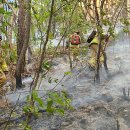 대구서변초등학교 이미지