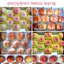 삼태산 농장 이미지