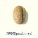 체리콩커피 이미지