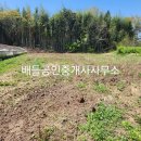 대서면사무소 이미지