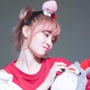 신기 이미지